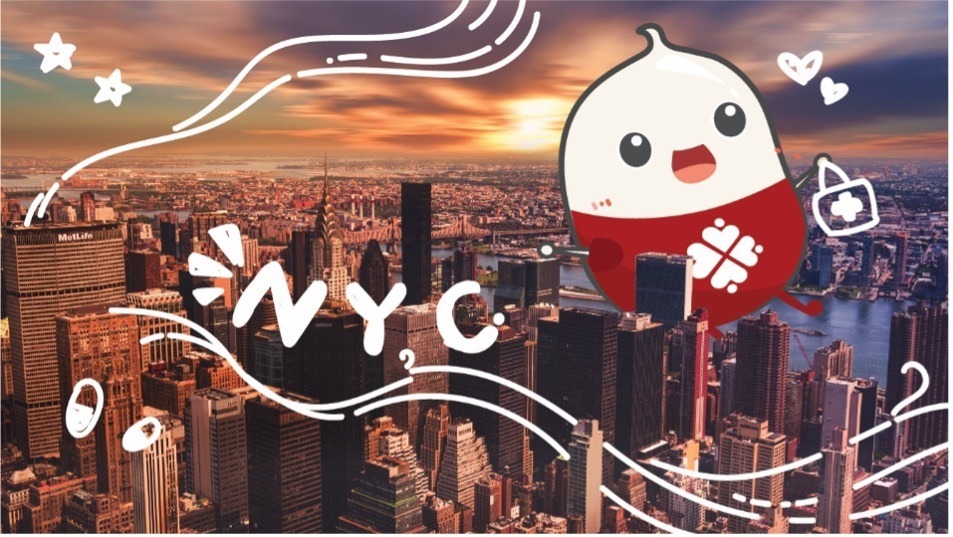 blog NYU banner 1