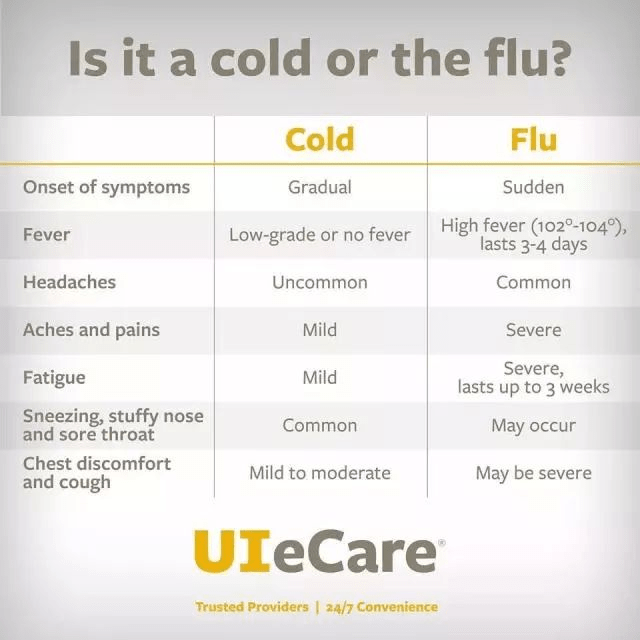 流感5