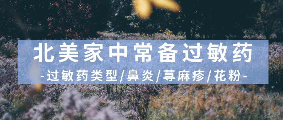美国留学常备过敏药攻略插图封面
