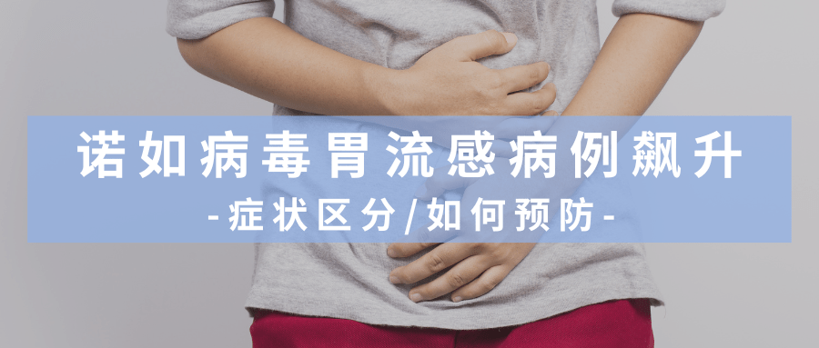 诺如病毒胃流感病例