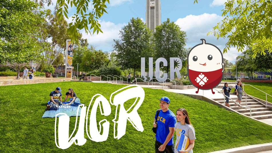 UCR